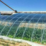 多功效耐用型PO膜