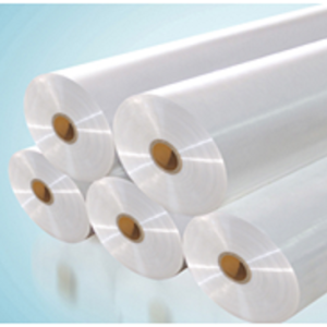 �����¸�����Ĥ