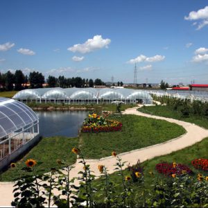 花卉专用多功能棚膜