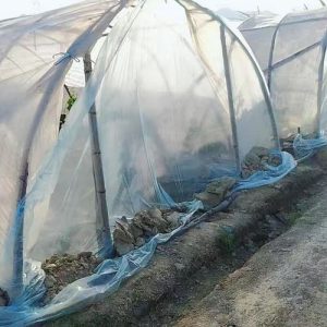Greenhouse coverage Film